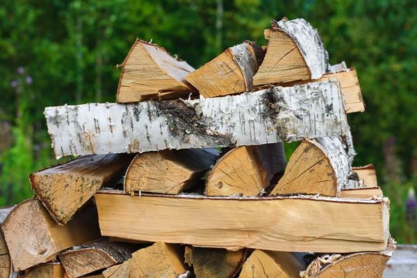 Wood Fuel Price in UK Rises 4% to New Record of $243 per Cubic Meter